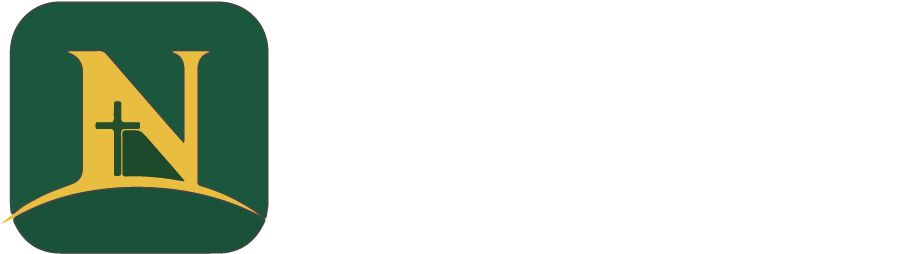 NAGMIN Logo
